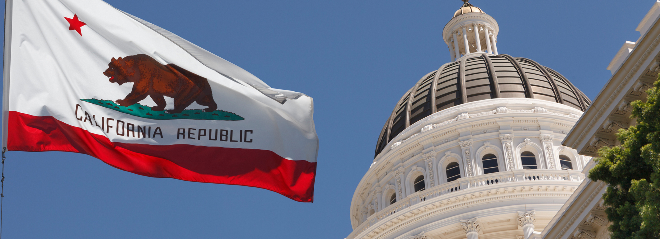 california state capitol and flag